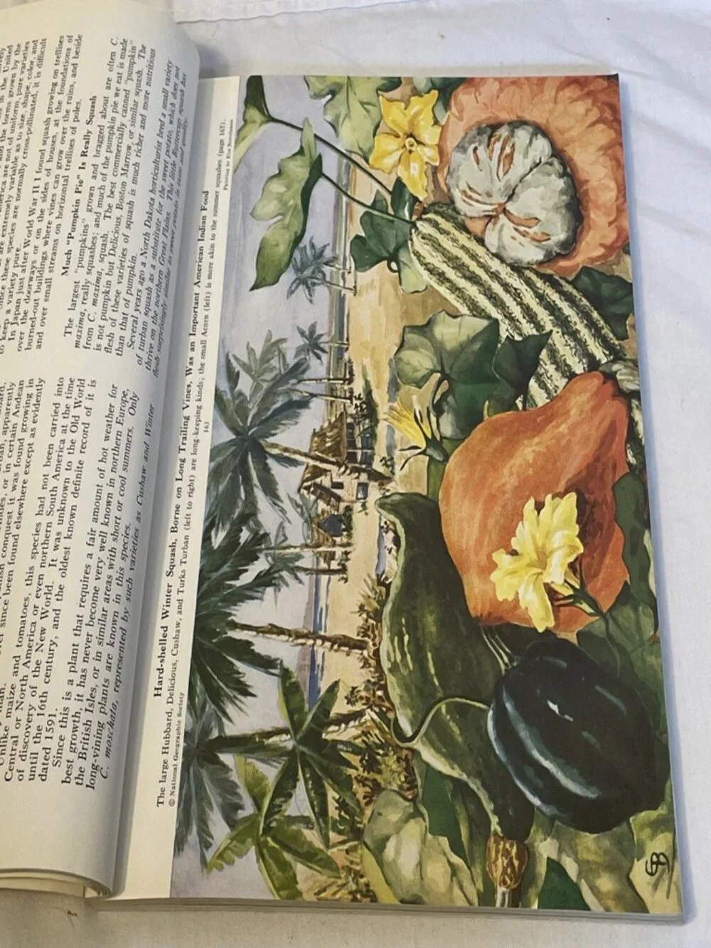 National Geographic August 1949 Our Vegetable Travelers Vintage Magazine